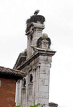 Stork's Nest - Alcalá de Henares, Spain